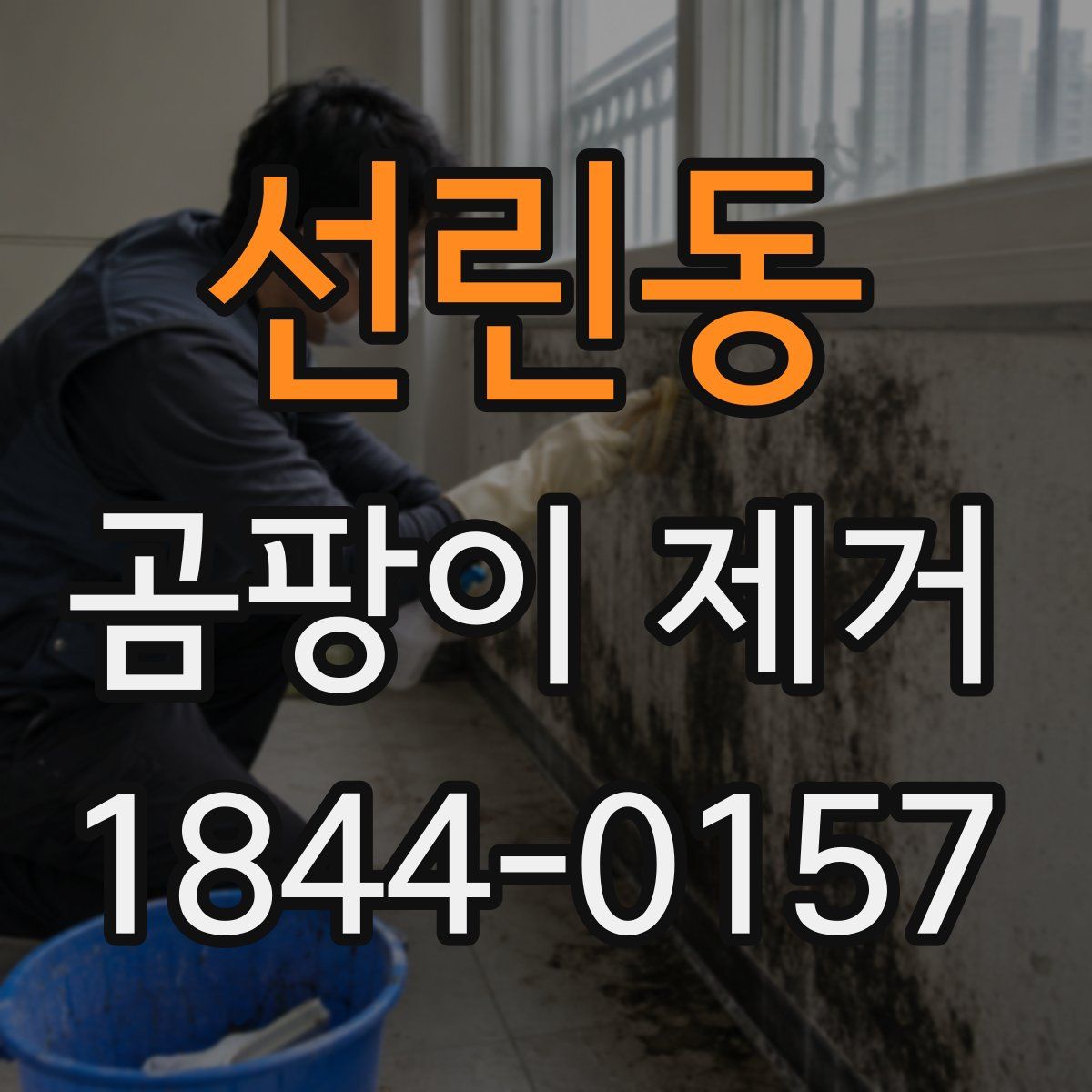 선린동 곰팡이 제거