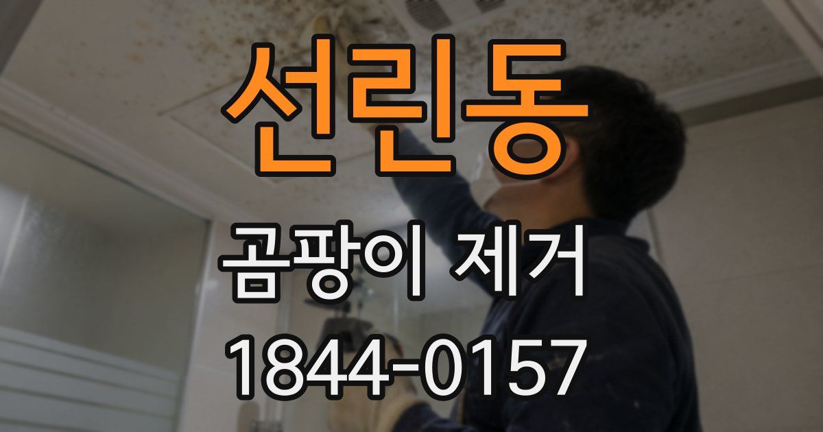 선린동 곰팡이 제거