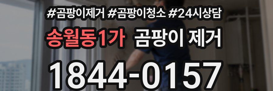 송월동1가 곰팡이 제거