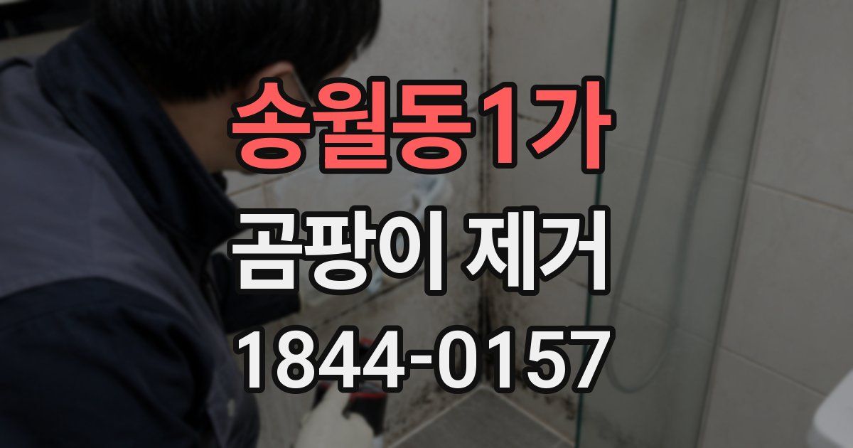 송월동1가 곰팡이 제거