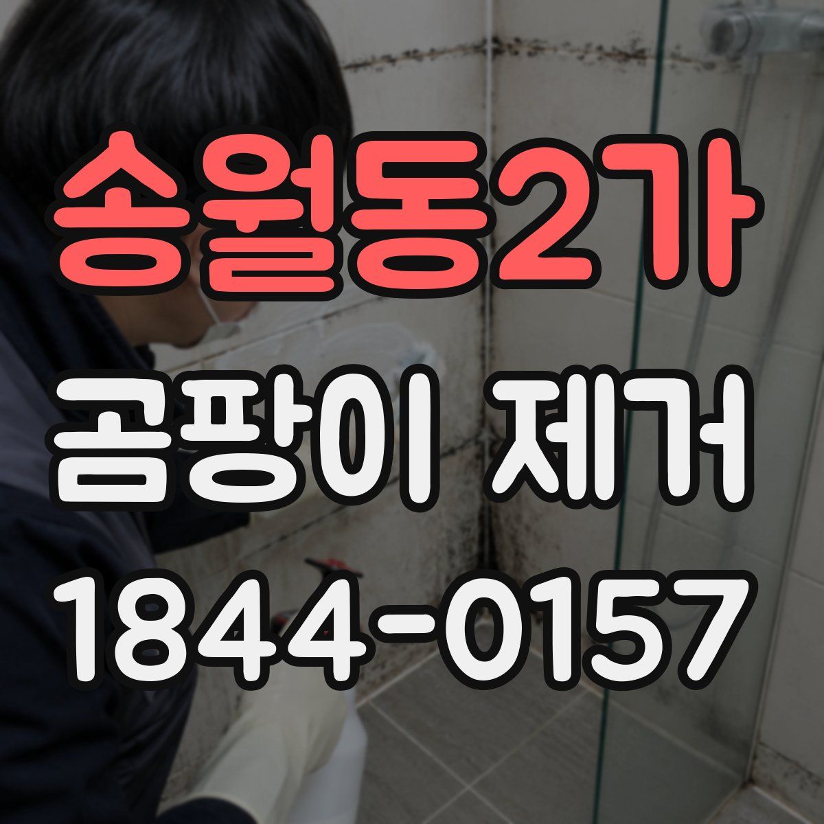 송월동2가 곰팡이 제거