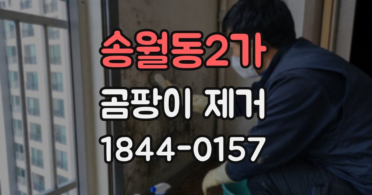 송월동2가 곰팡이 제거