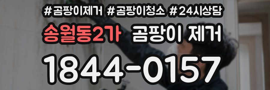 송월동2가 곰팡이 제거