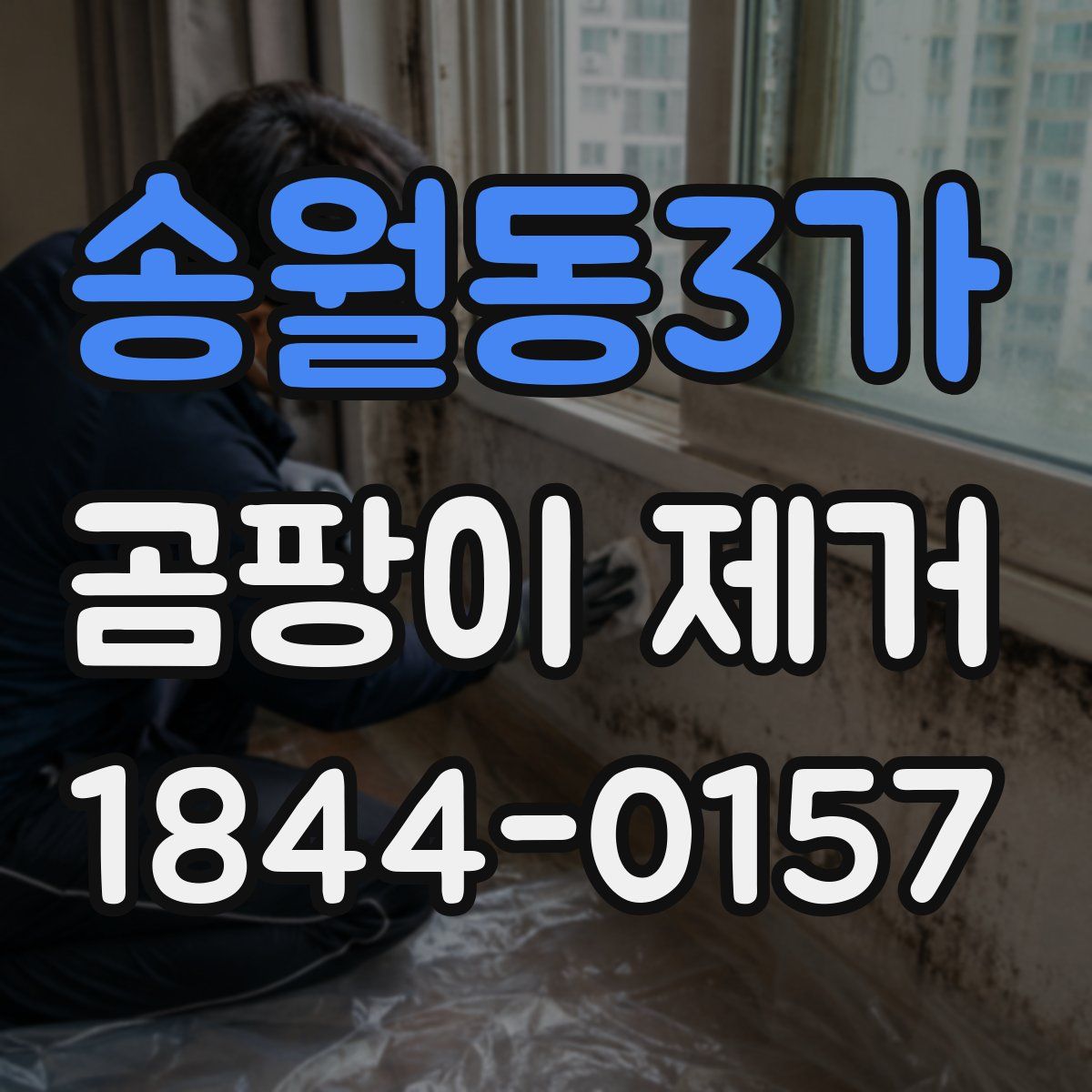송월동3가 곰팡이 제거