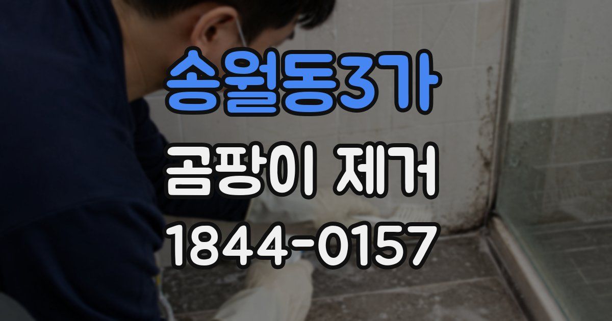 송월동3가 곰팡이 제거