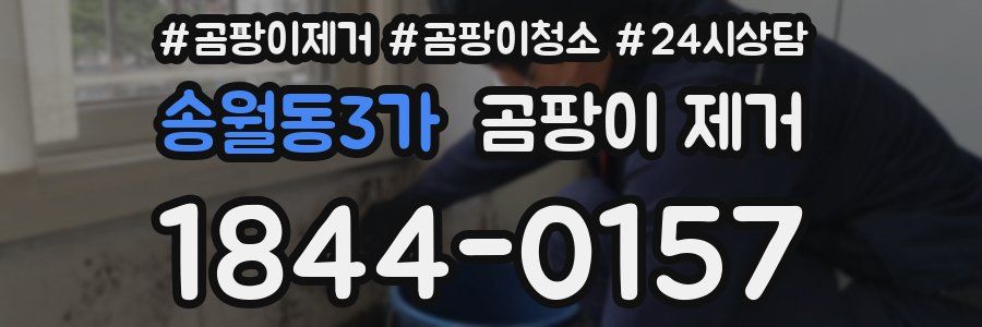 송월동3가 곰팡이 제거