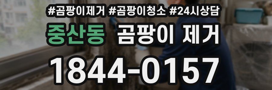 중산동 곰팡이 제거