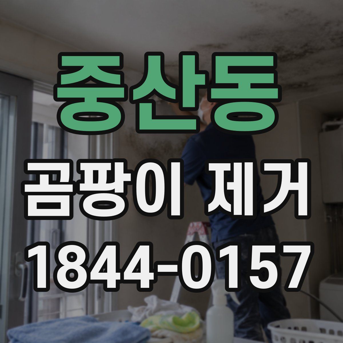 중산동 곰팡이 제거