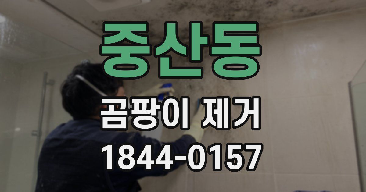 중산동 곰팡이 제거
