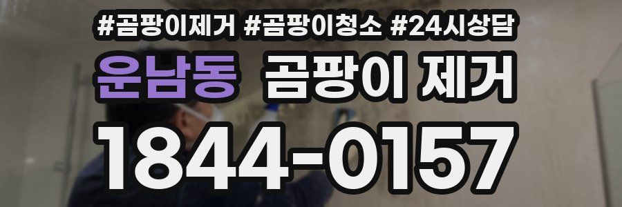 운남동 곰팡이 제거