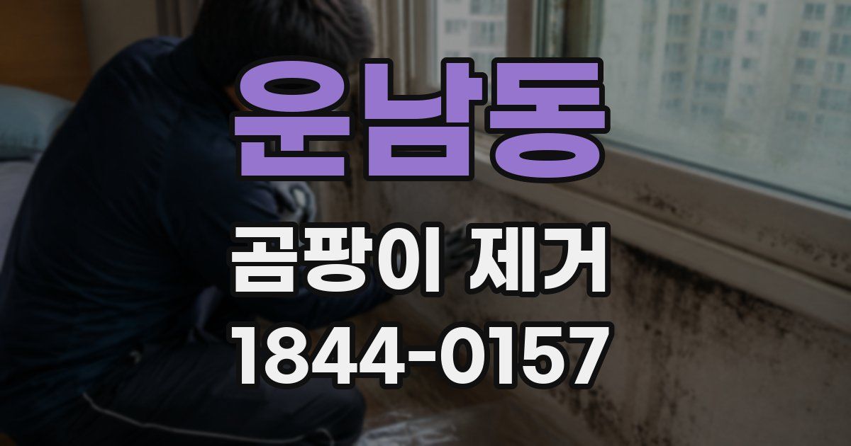 운남동 곰팡이 제거