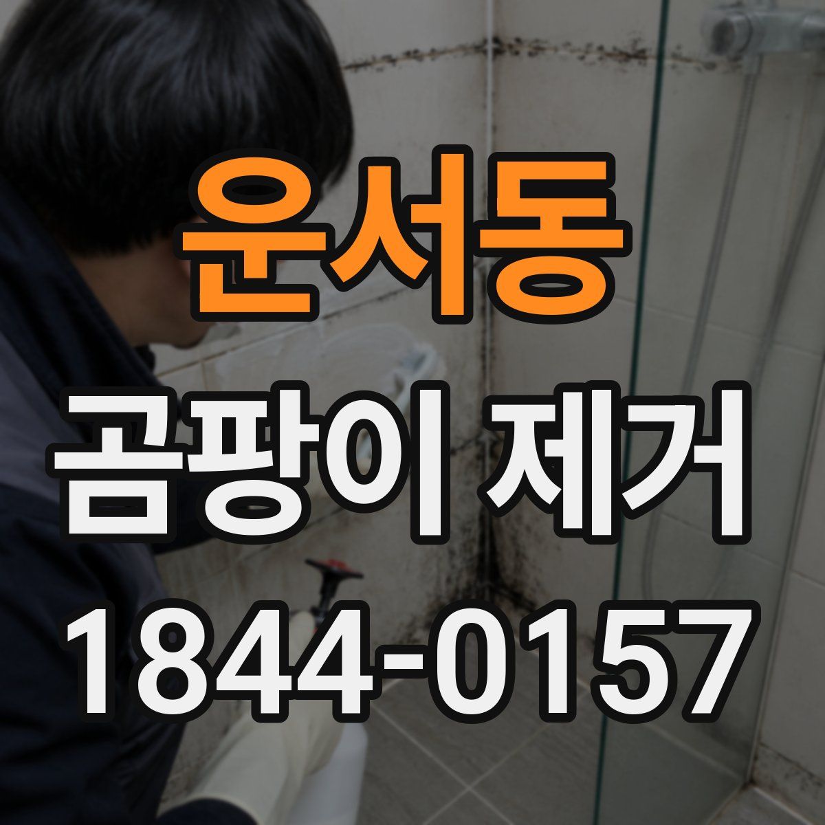 운서동 곰팡이 제거