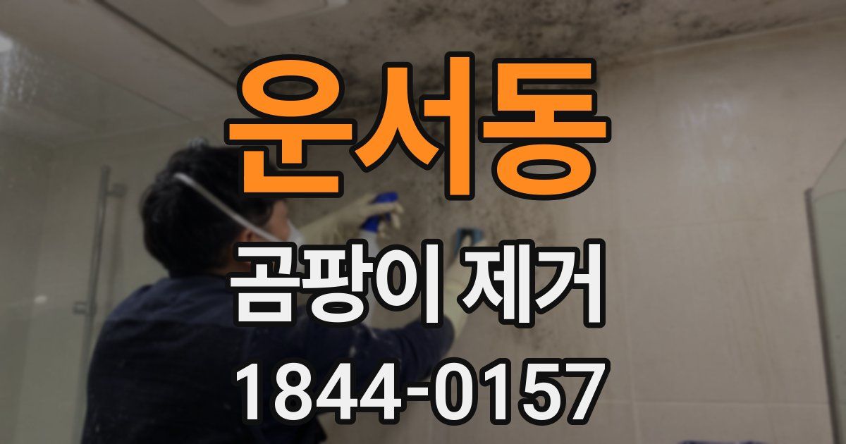 운서동 곰팡이 제거
