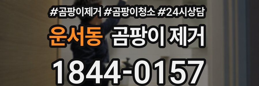 운서동 곰팡이 제거