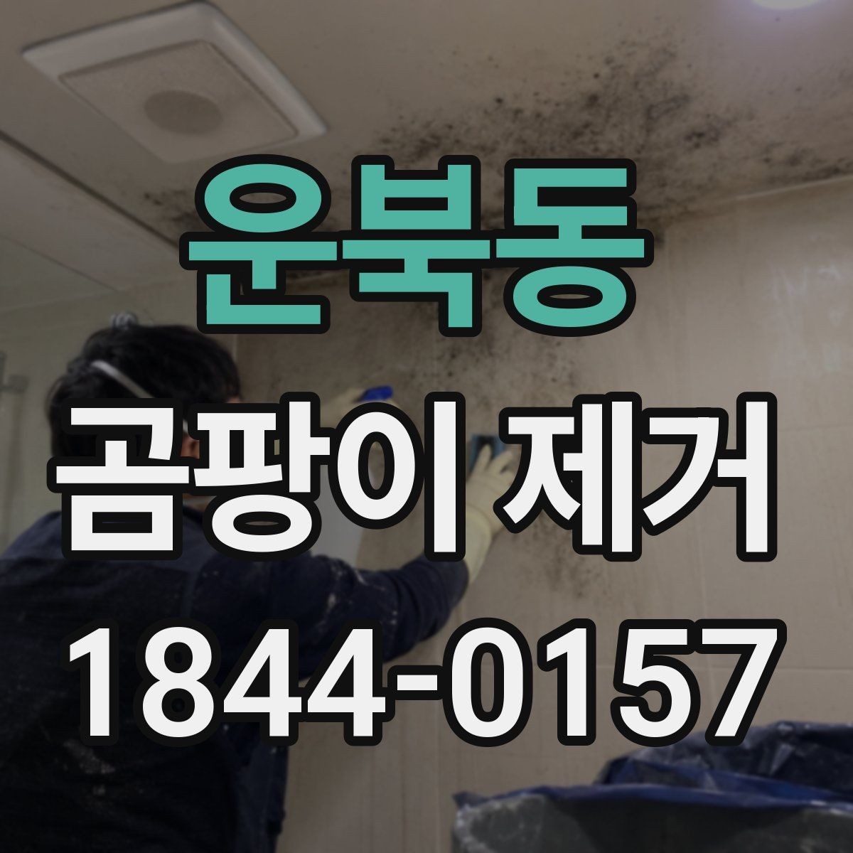 운북동 곰팡이 제거 욕실 인접 벽면을 다룰 때 주의할 점