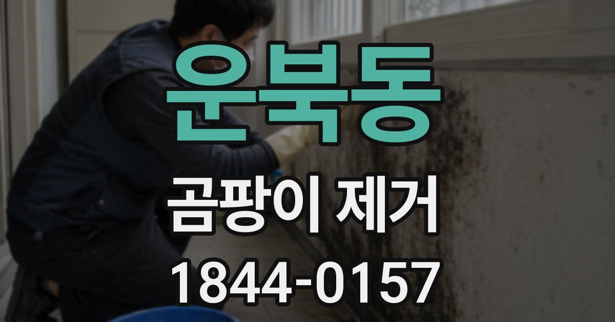 운북동 곰팡이 제거