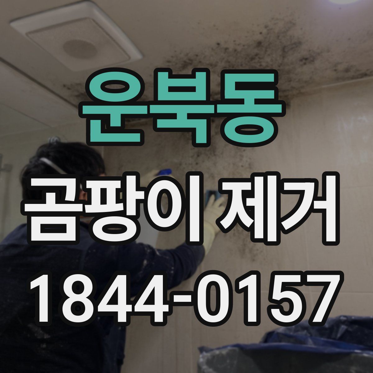운북동 곰팡이 제거