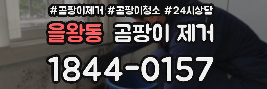 을왕동 곰팡이 제거