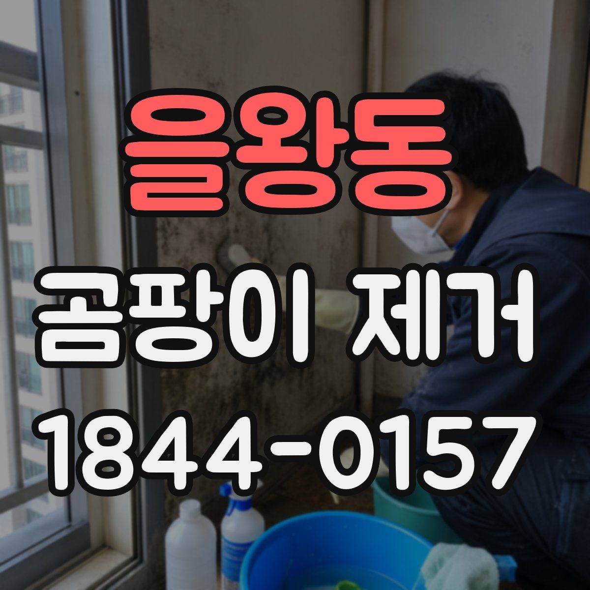 을왕동 곰팡이 제거