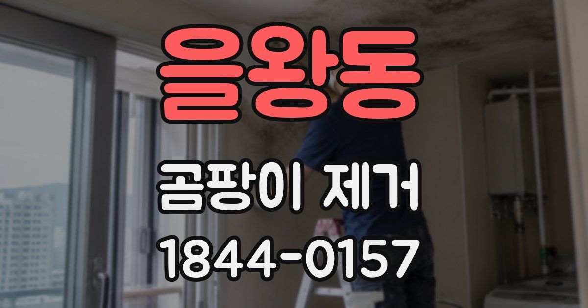 을왕동 곰팡이 제거