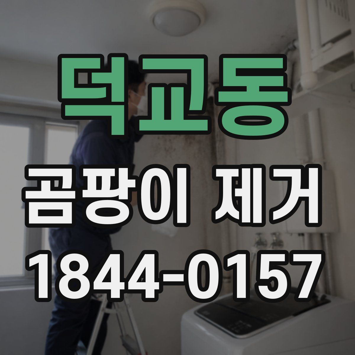 덕교동 곰팡이 제거
