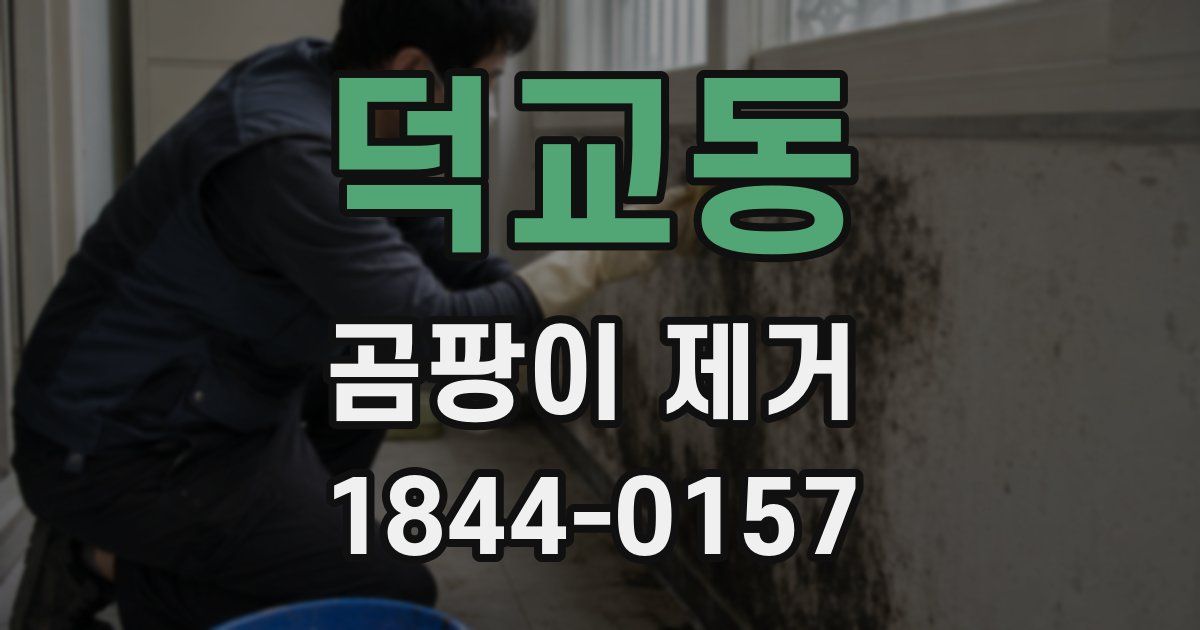 덕교동 곰팡이 제거