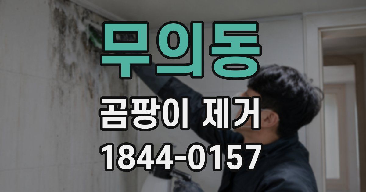 무의동 곰팡이 제거