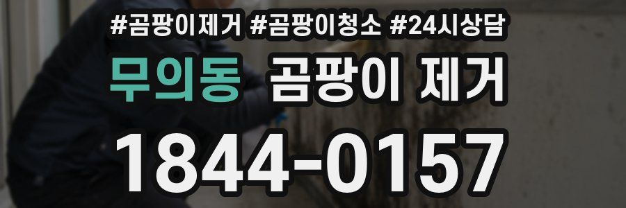 무의동 곰팡이 제거