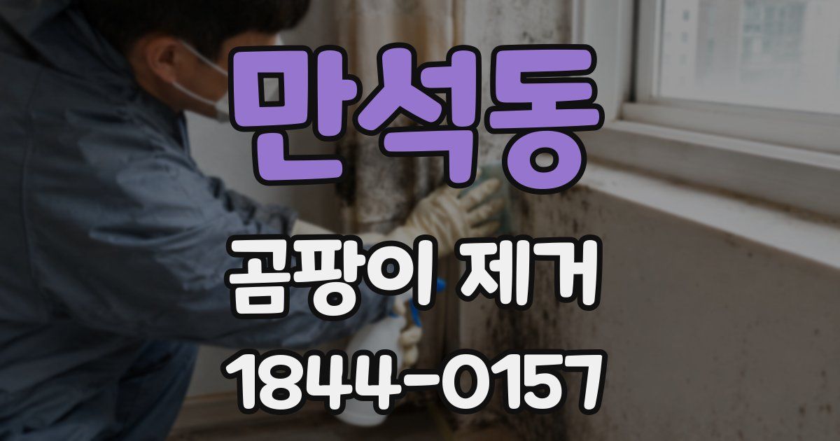 만석동 곰팡이 제거