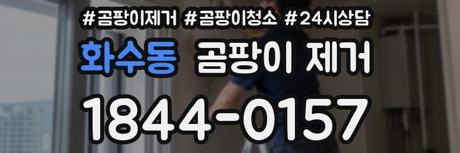 화수동 곰팡이 제거