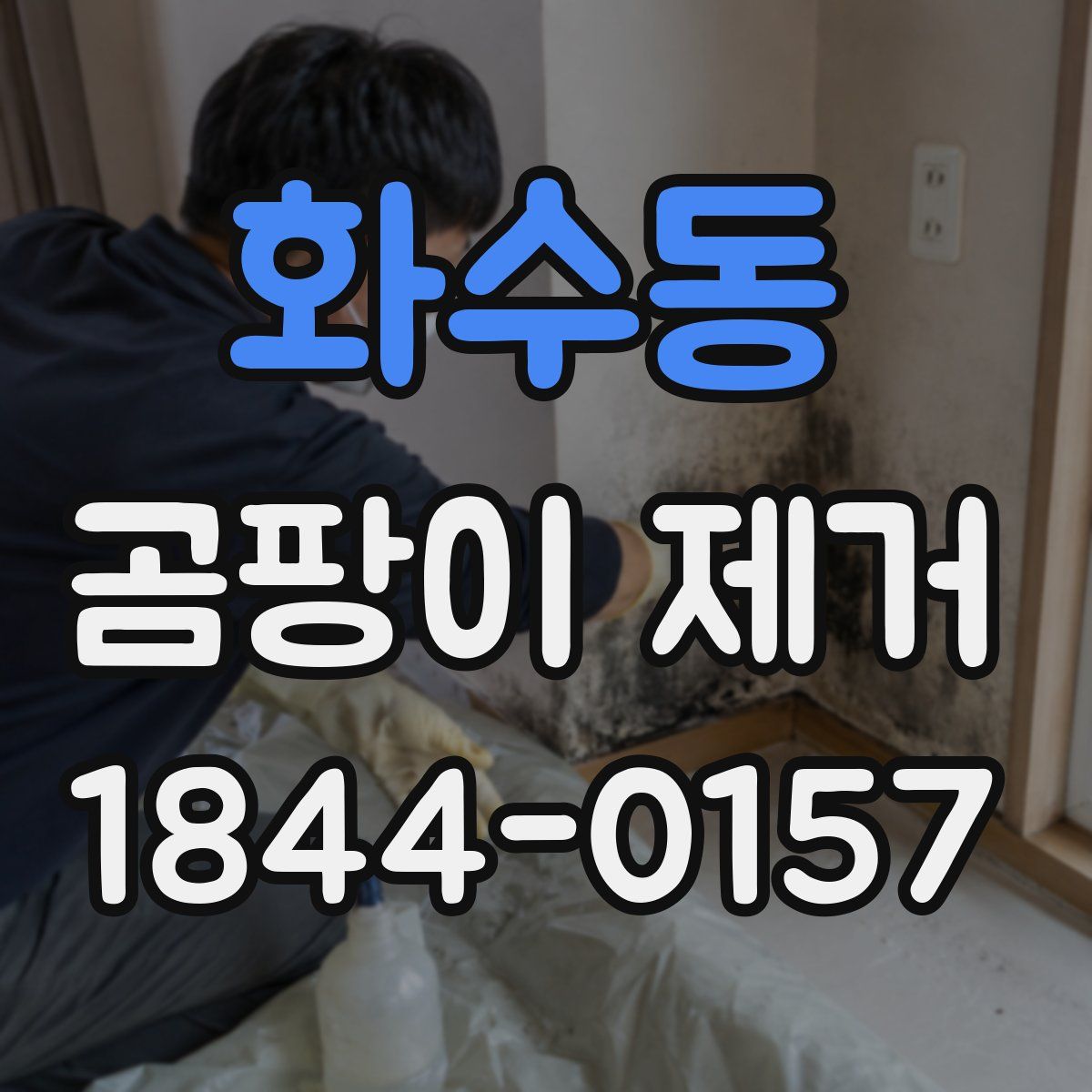 화수동 곰팡이 제거
