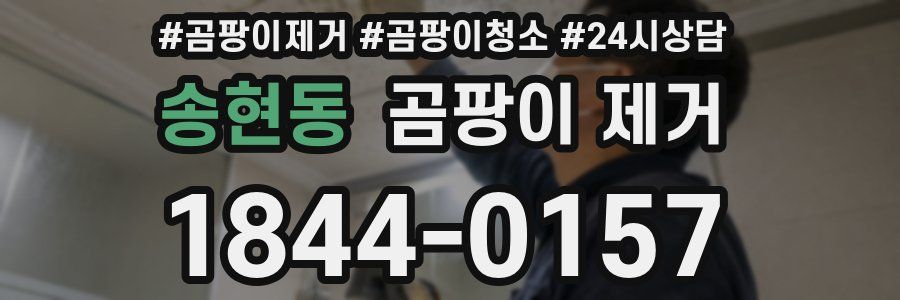 송현동 곰팡이 제거