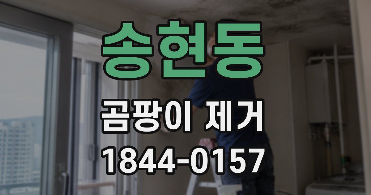 송현동 곰팡이 제거
