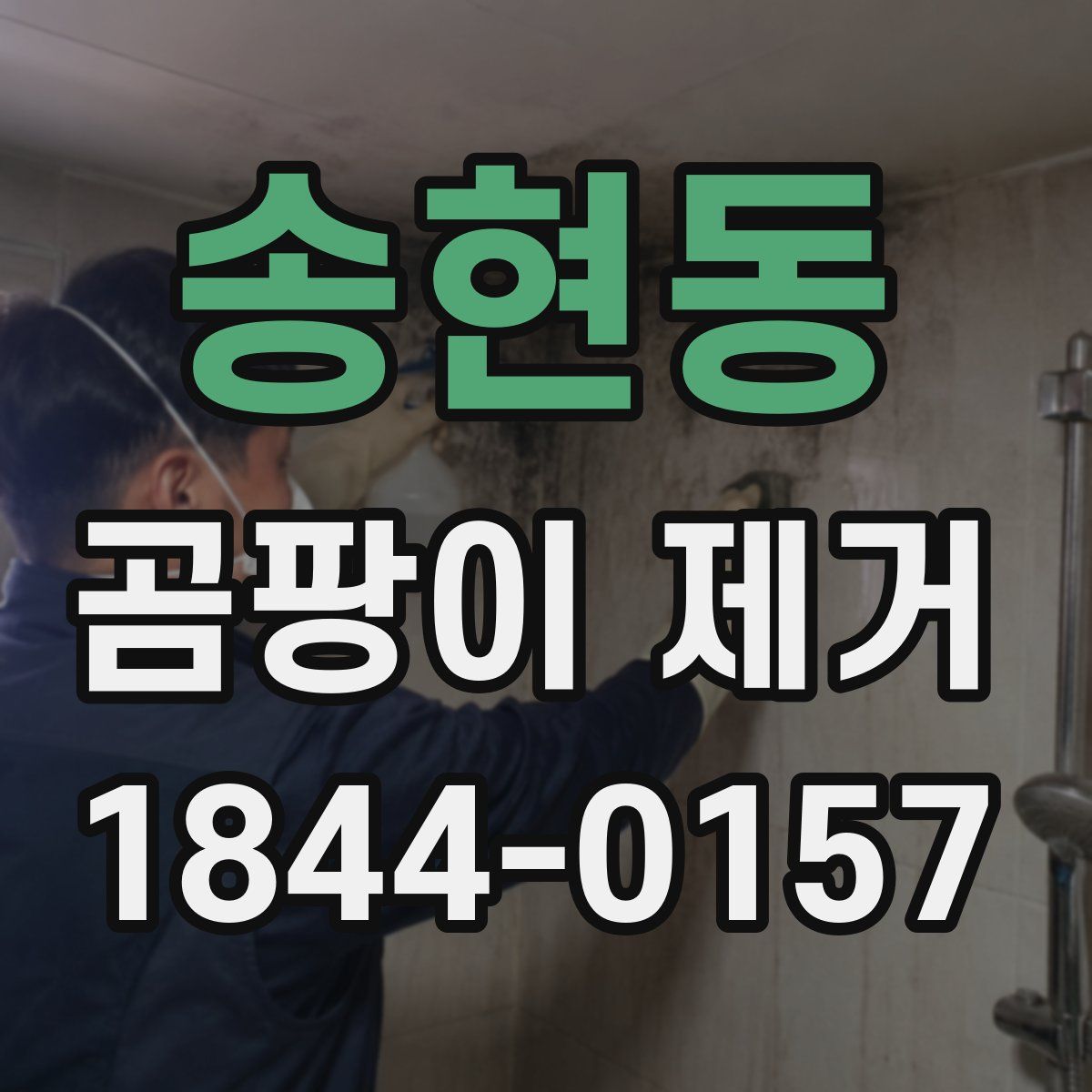 송현동 곰팡이 제거