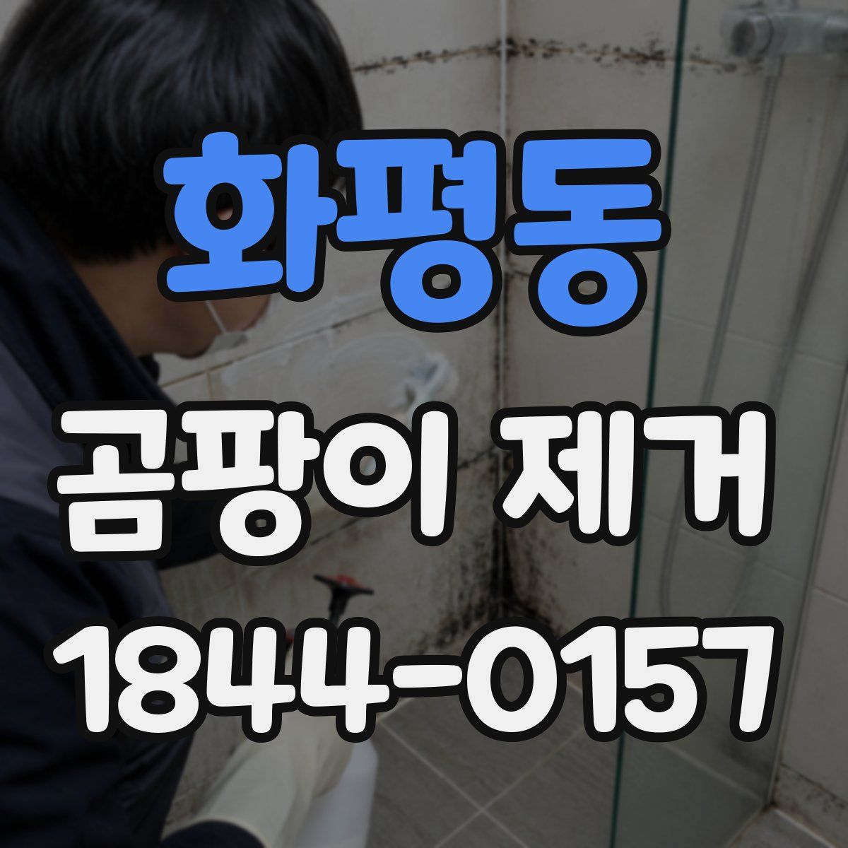 화평동 곰팡이 제거