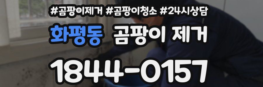 화평동 곰팡이 제거