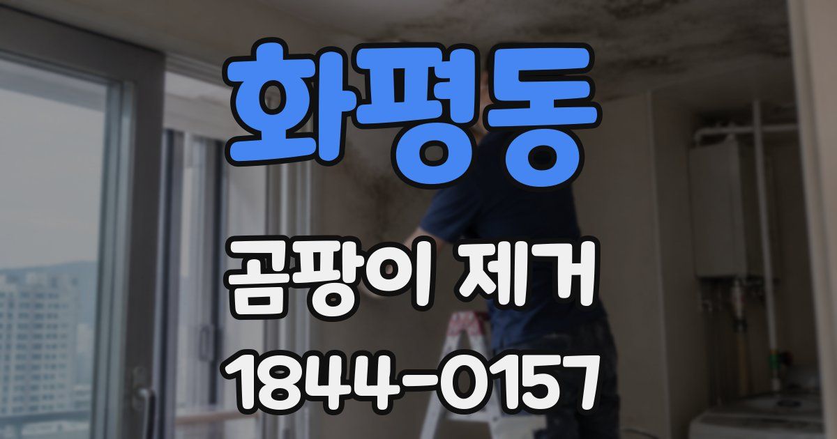 화평동 곰팡이 제거