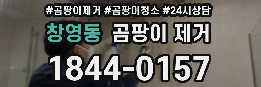창영동 곰팡이 제거