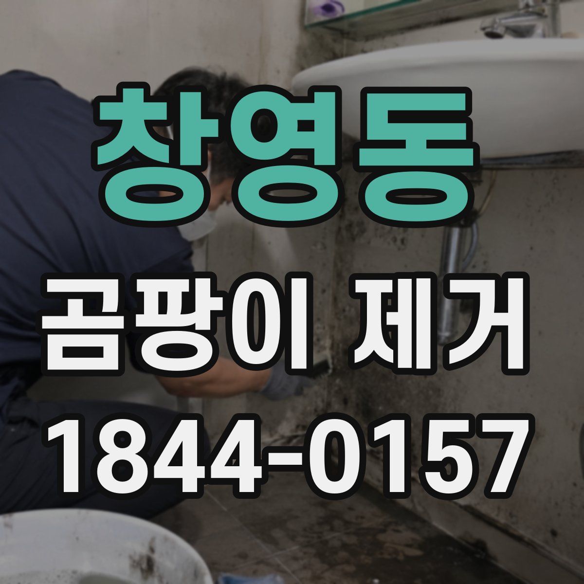 창영동 곰팡이 제거