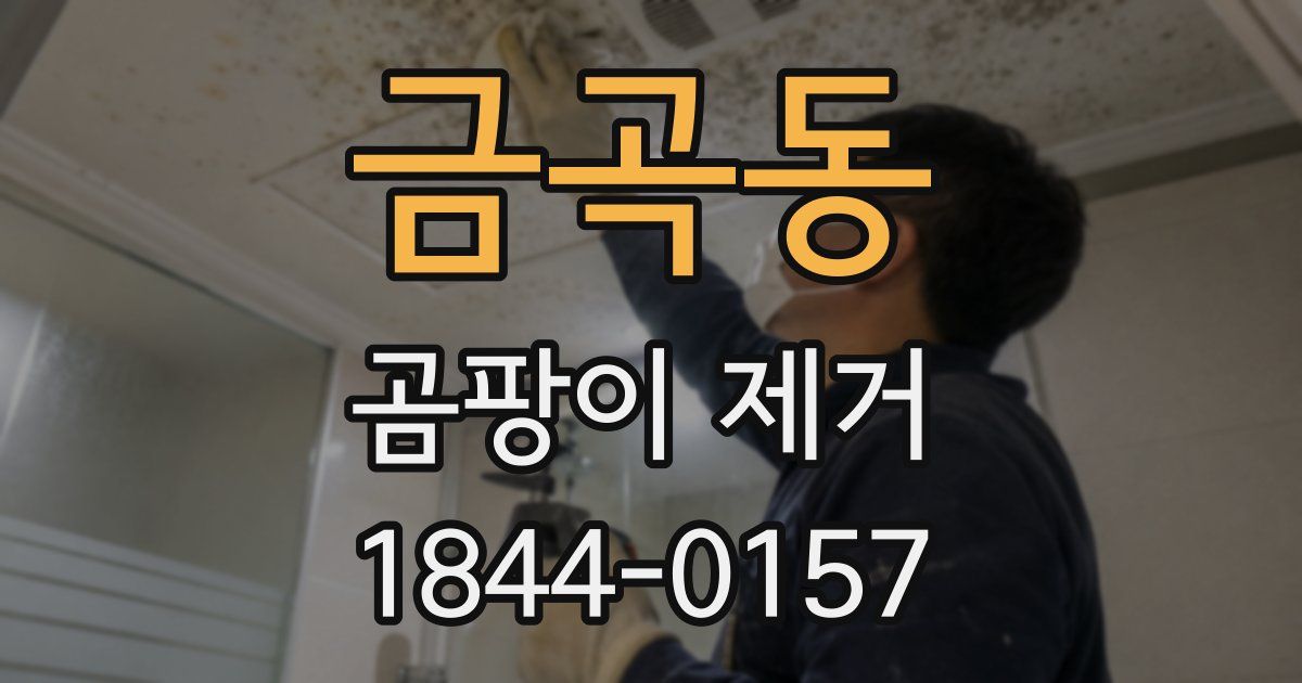금곡동 곰팡이 제거