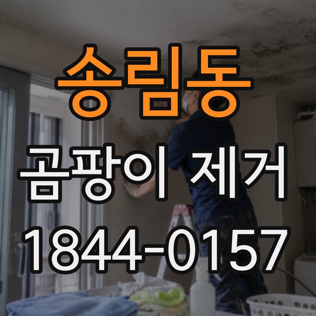 송림동 곰팡이 제거