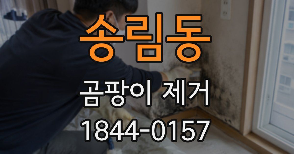 송림동 곰팡이 제거