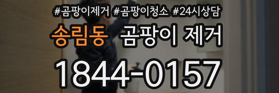 송림동 곰팡이 제거