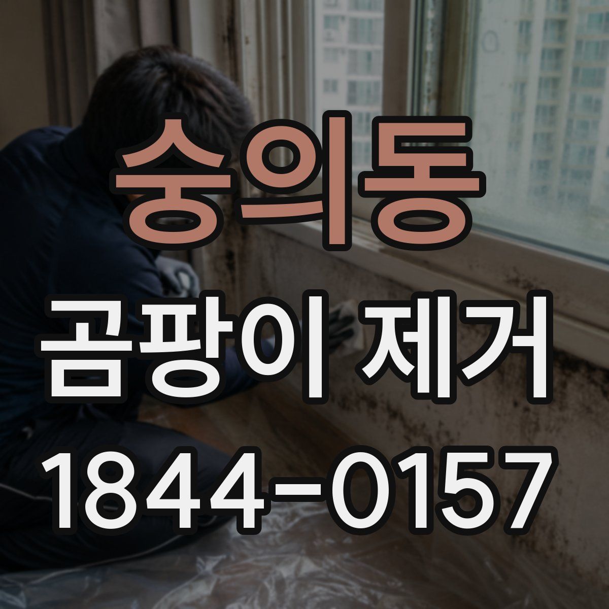 숭의동 곰팡이 제거