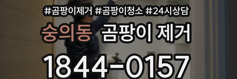 숭의동 곰팡이 제거