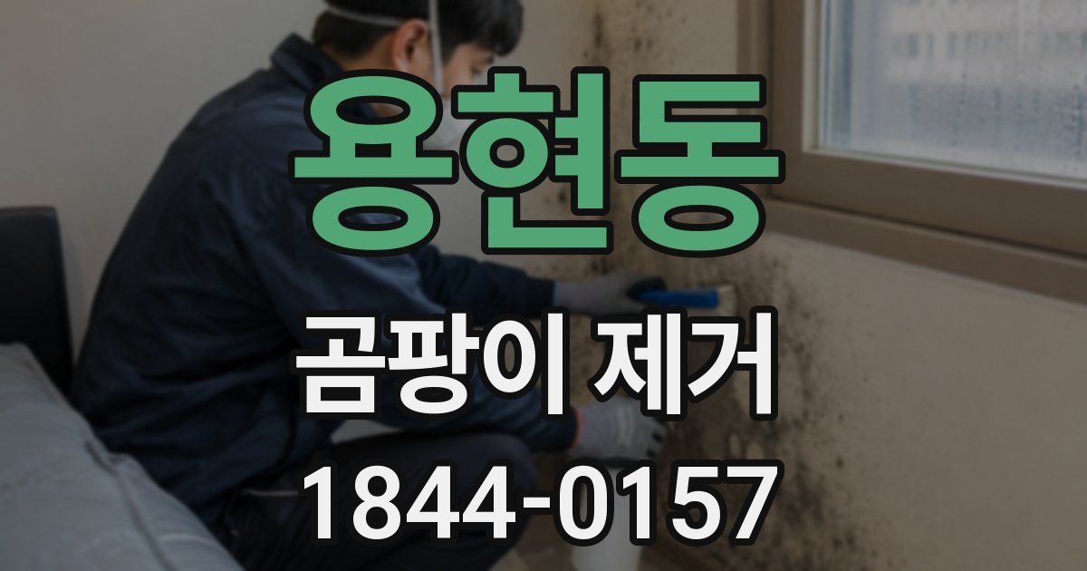 용현동 곰팡이 제거