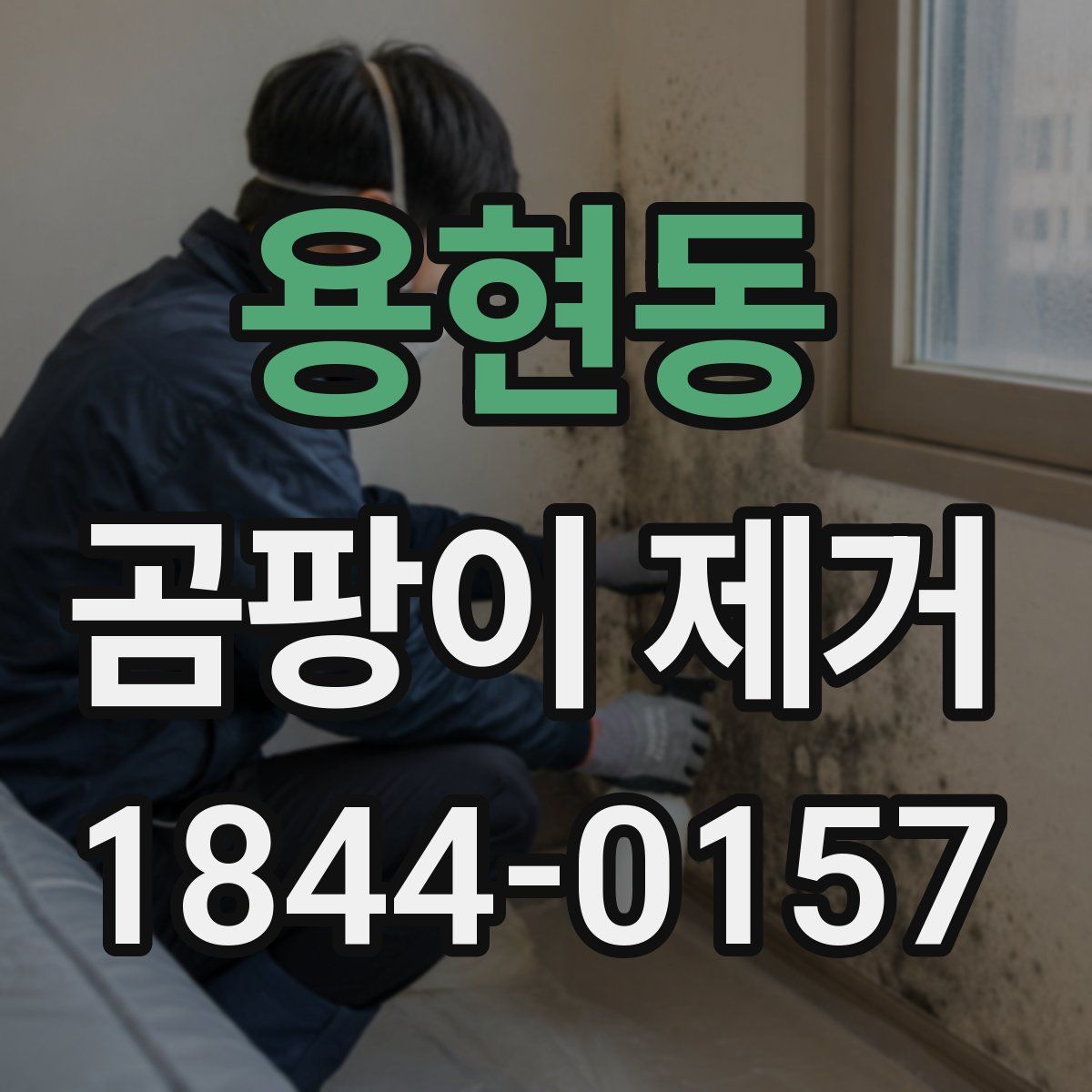 용현동 곰팡이 제거
