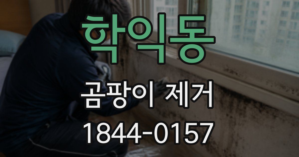 학익동 곰팡이 제거