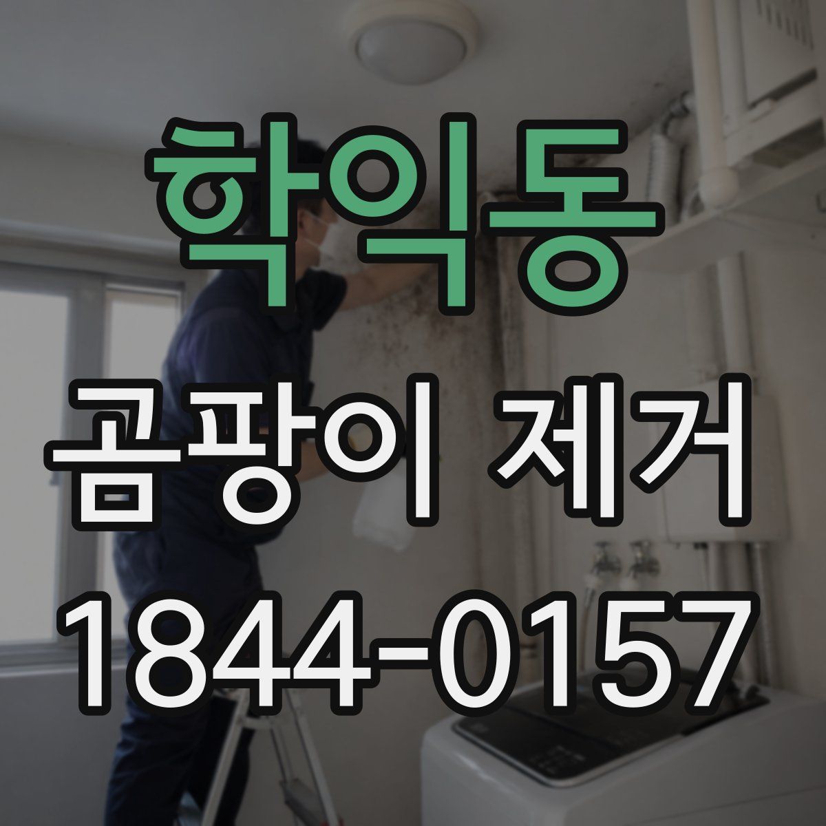 학익동 곰팡이 제거
