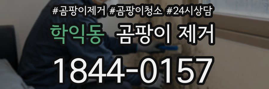 학익동 곰팡이 제거